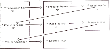 mv12-diagram001
