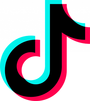tiktok logo2